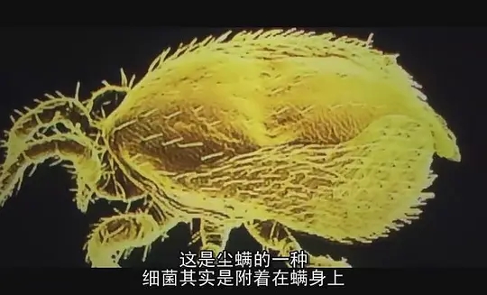 一人得道鸡犬升天的电影,一人得道鸡犬升天七天七夜