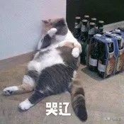 柳岩代言二裂酵母面膜,柳岩推荐的v脸面膜