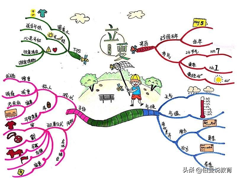 3分钟的讲解如何画思维导图,怎么画思维导图学会这几步就够了