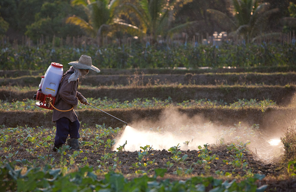 农产品农药残留检测相关知识,蔬菜农药残留检测确保舌尖安全