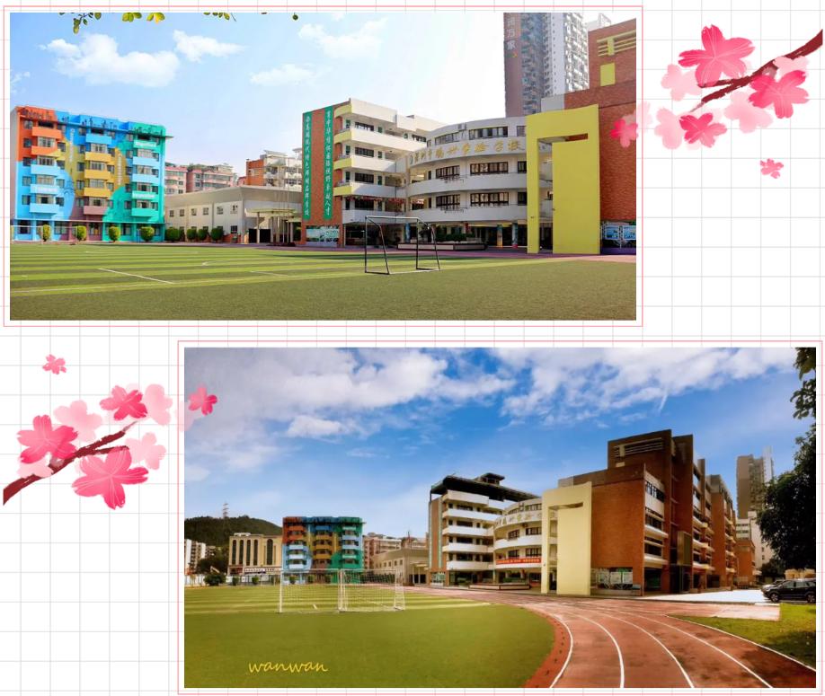 罗湖中学学校排名,深圳罗湖四大名校初中