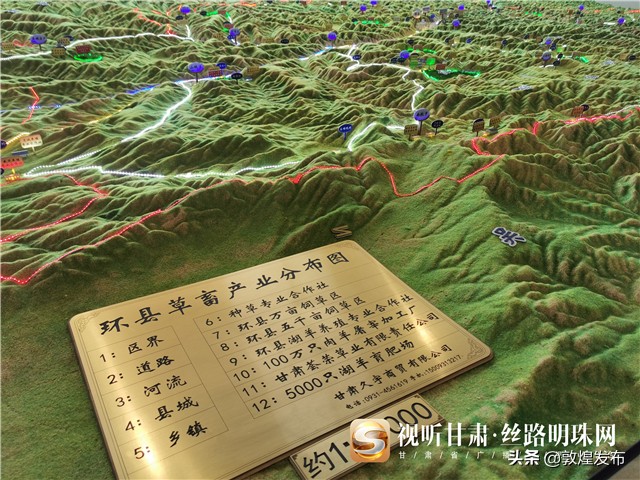 脱贫攻坚短视频央视网,环县脱贫攻坚工作