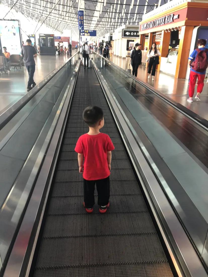 十大最值得去的动物园,中国有没有最好玩的动物园