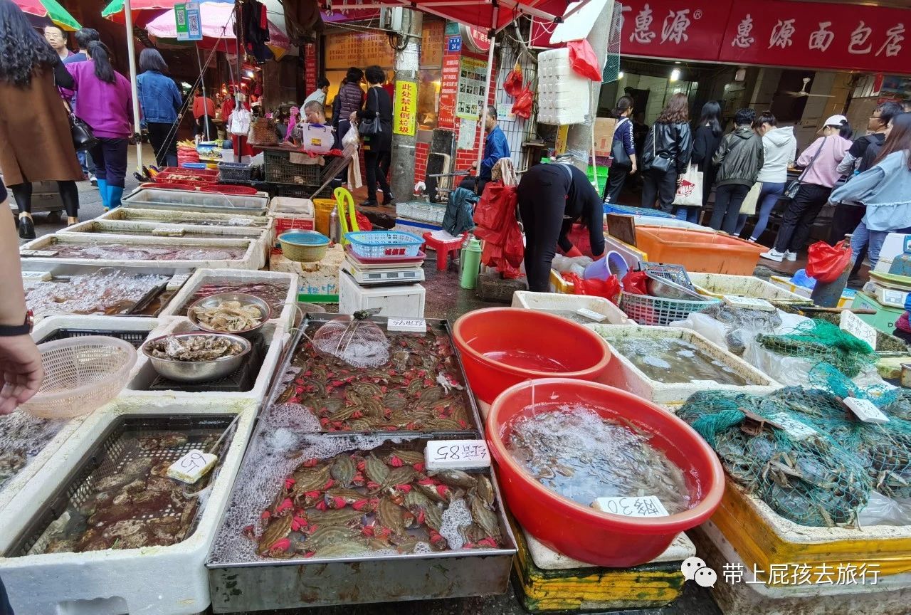 等疫情过后我想去日本旅游,等疫情过后我想旅游