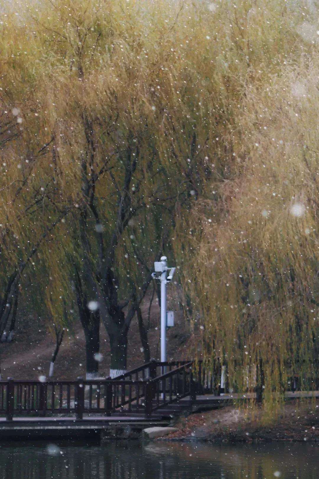 辽宁省高校(三十二)大连外国语大学