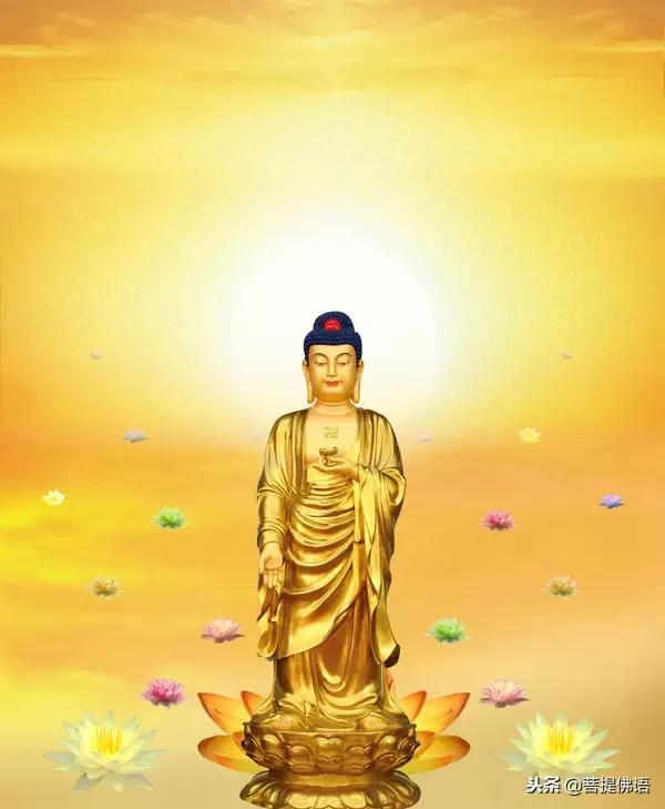 为世人祈福南无阿弥陀佛,南无阿弥陀佛2019年佛光普照