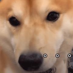 同学生活中搞笑的段子,同学录幽默搞笑段子