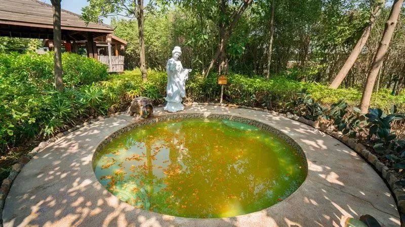 厦门杏博湾天沐温泉度假村,暑天室外怎样解暑