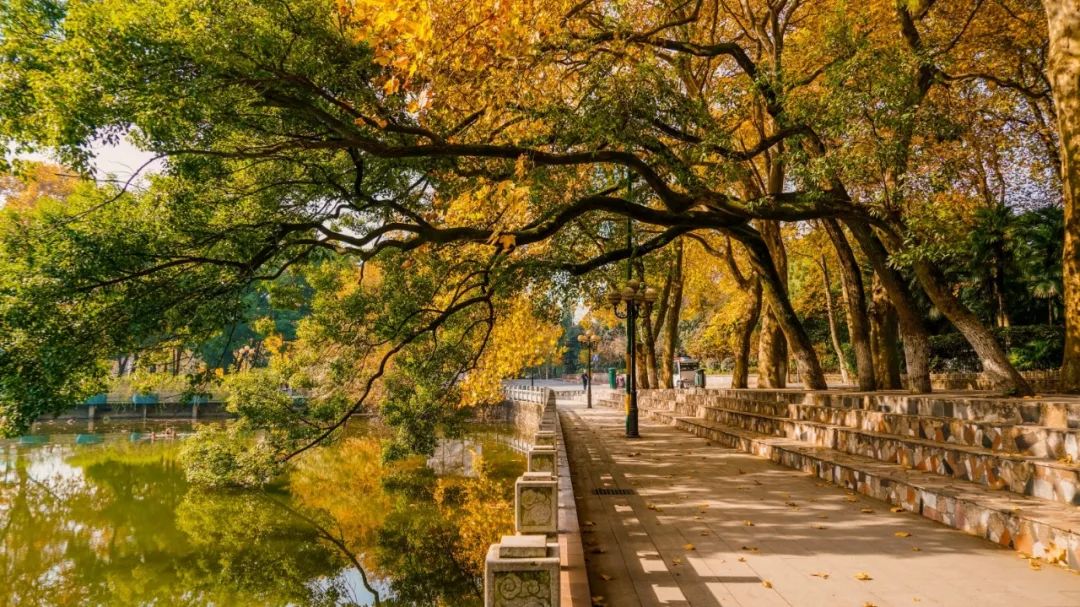 中国最美的大学武汉大学,最美的武汉大学