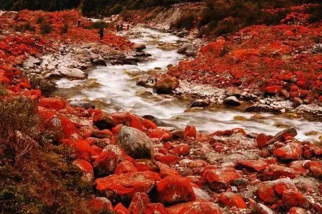 中国那些不可思议的奇观,中国地质奇迹视频