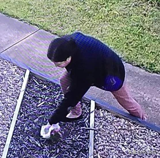 中国大妈们在国外跳广场舞,中国大妈在温哥华商场跳广场舞