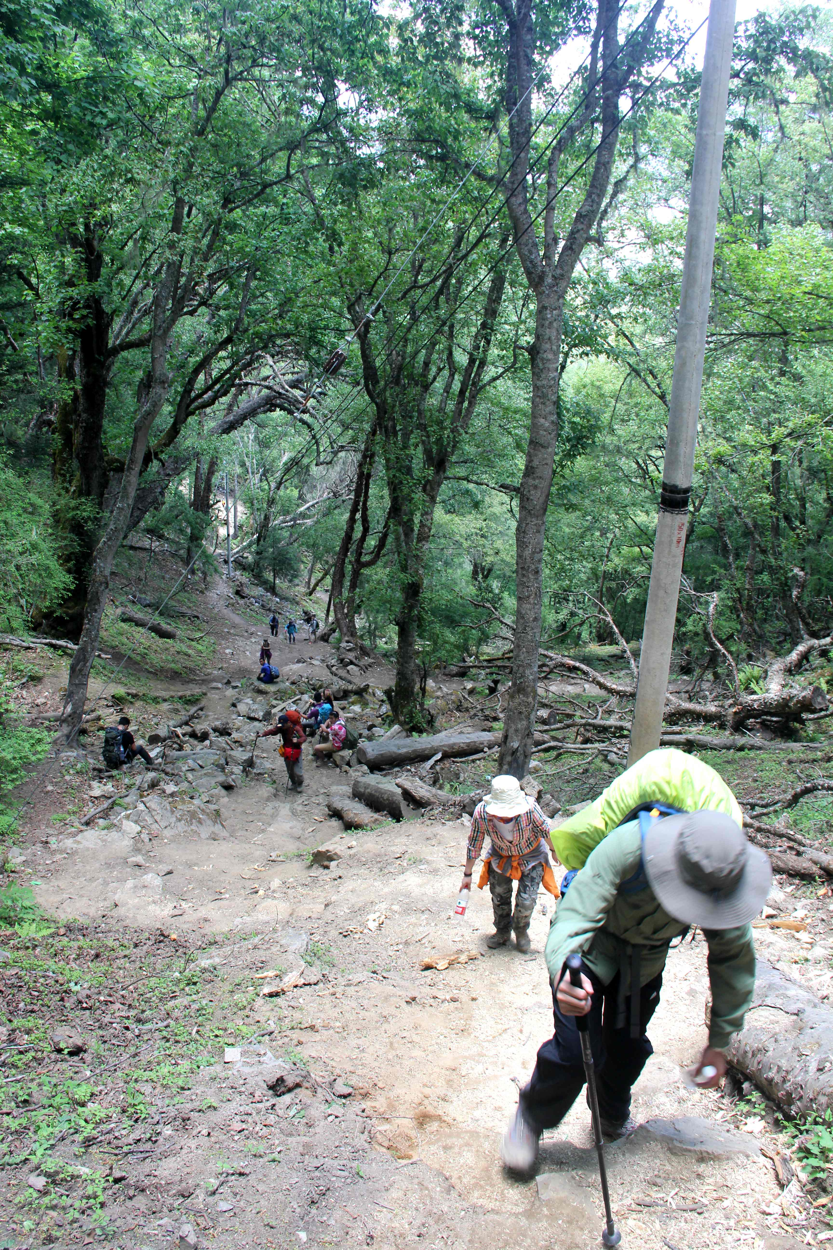 风花雪月一路歌——行走香格里拉散记雪之篇上