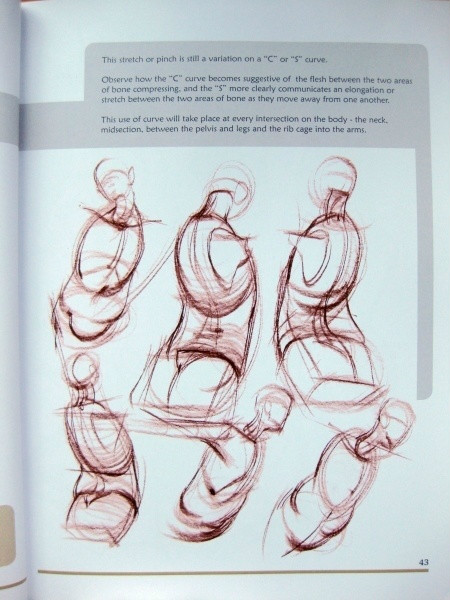 透视表现空间的基本方法,透视解剖学原理书籍