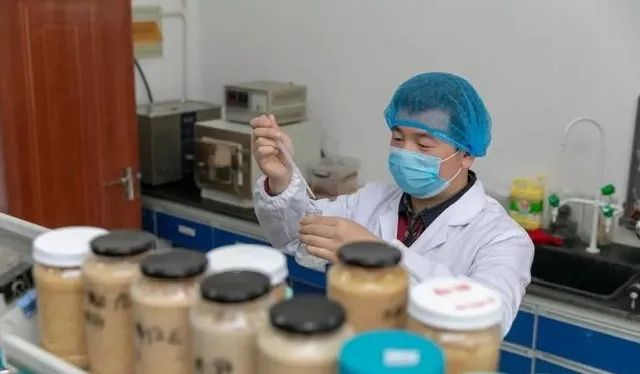 “蒜”你牛!竟治好了乾隆的痢疾症