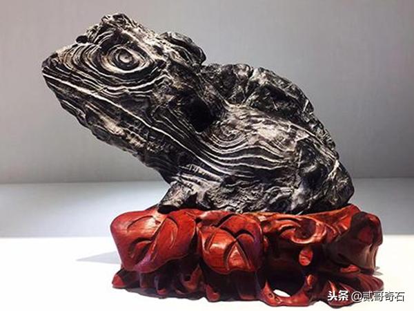奇石底座欣赏,奇石的底座为何会越来越复杂