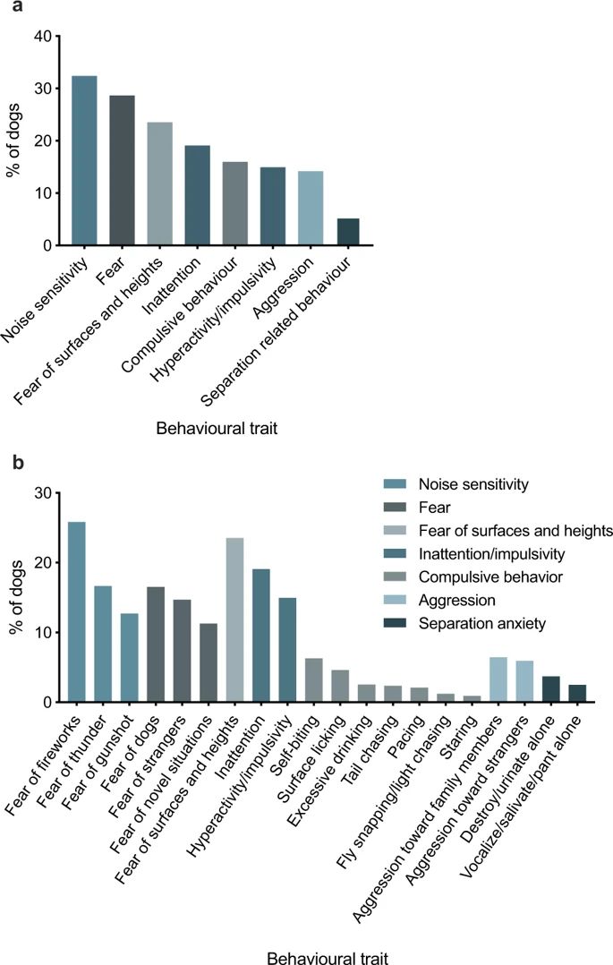 焦虑的狗子柴犬图片,焦虑的狗
