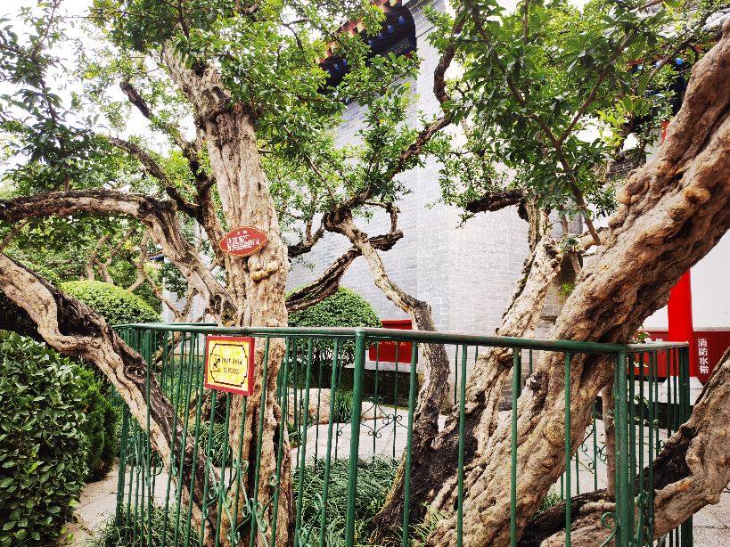 西安12月份旅游攻略,旅游西安十二时辰