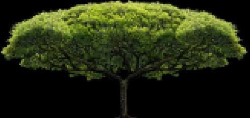 怎么修改手机分辨率,怎么修改证件照片的像素和分辨率