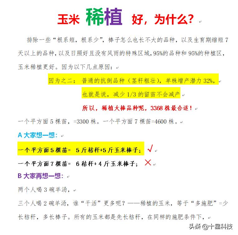 玉米密植高产还是稀植高产,玉米品种稀植品种有哪些