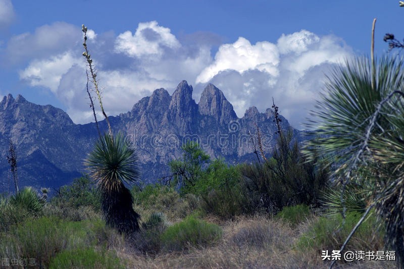 国学经典之汉书第二百八十一讲,国学经典之礼记第四十四讲
