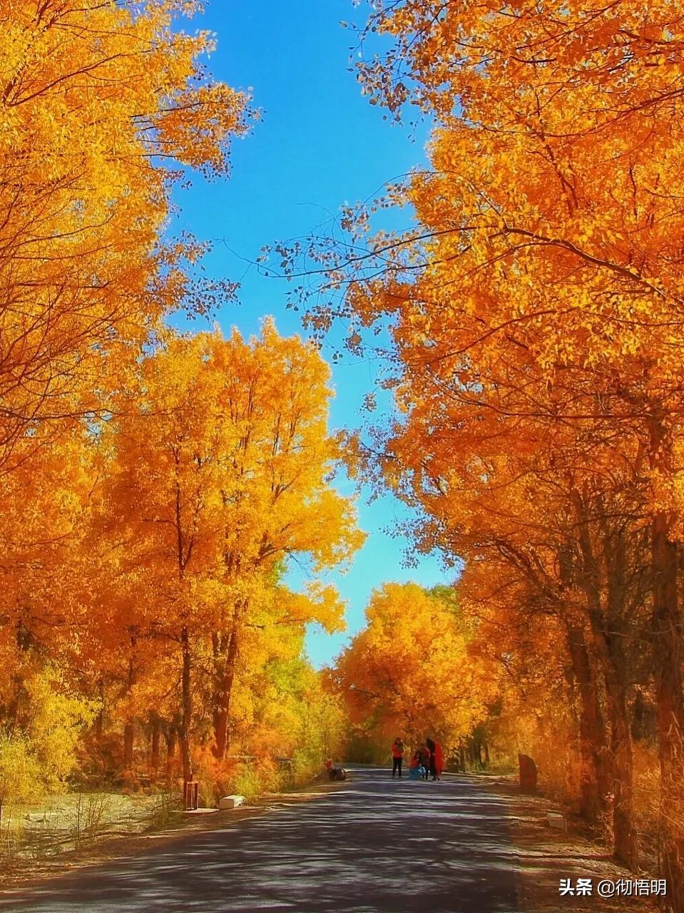 全世界最美50处旅游景点,全球公认世界最美的10个地方