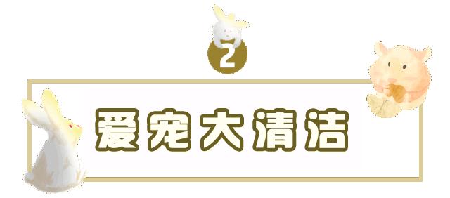 吹爆汕头这家「宠物精灵聚集地」美容、洗剪吹、零食,一应俱全…