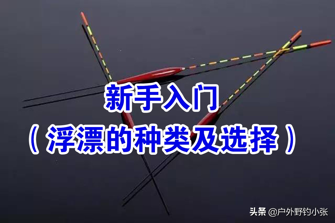 浮漂的种类有哪些,浮漂的种类及调漂