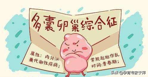 瘦多囊为什么要减肥,胖多囊怎么减肥效果好