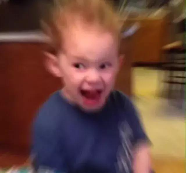 谢飞机随身携带的小绿包,谢飞机表情包视频