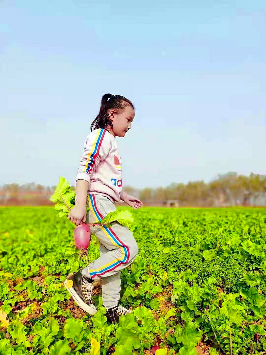野趣大自然亲子农场攻略一日游,周末驾到