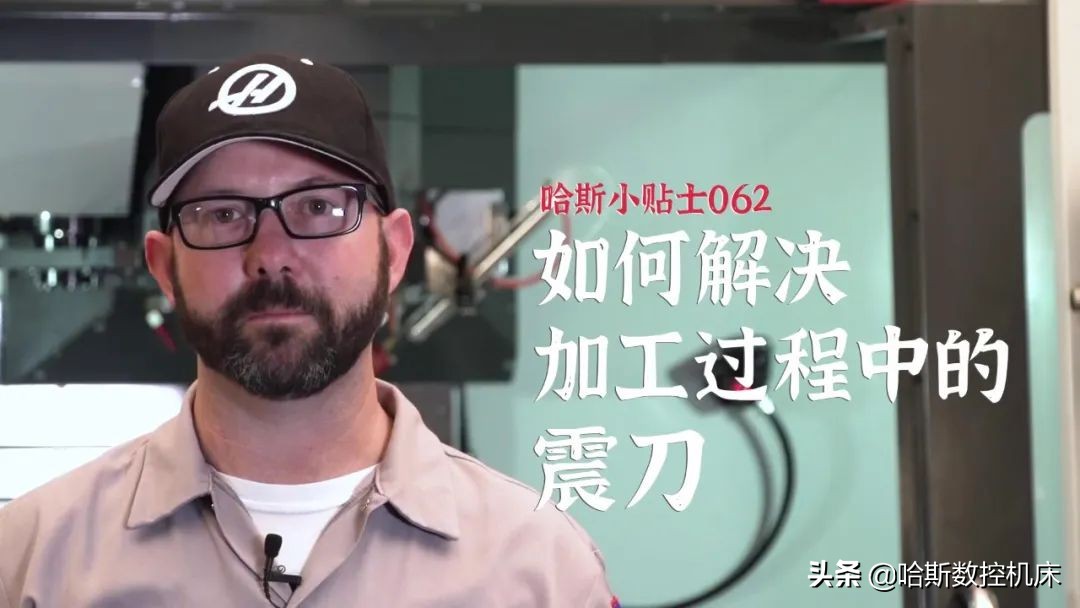 最受欢迎的哈斯,哈斯小贴士