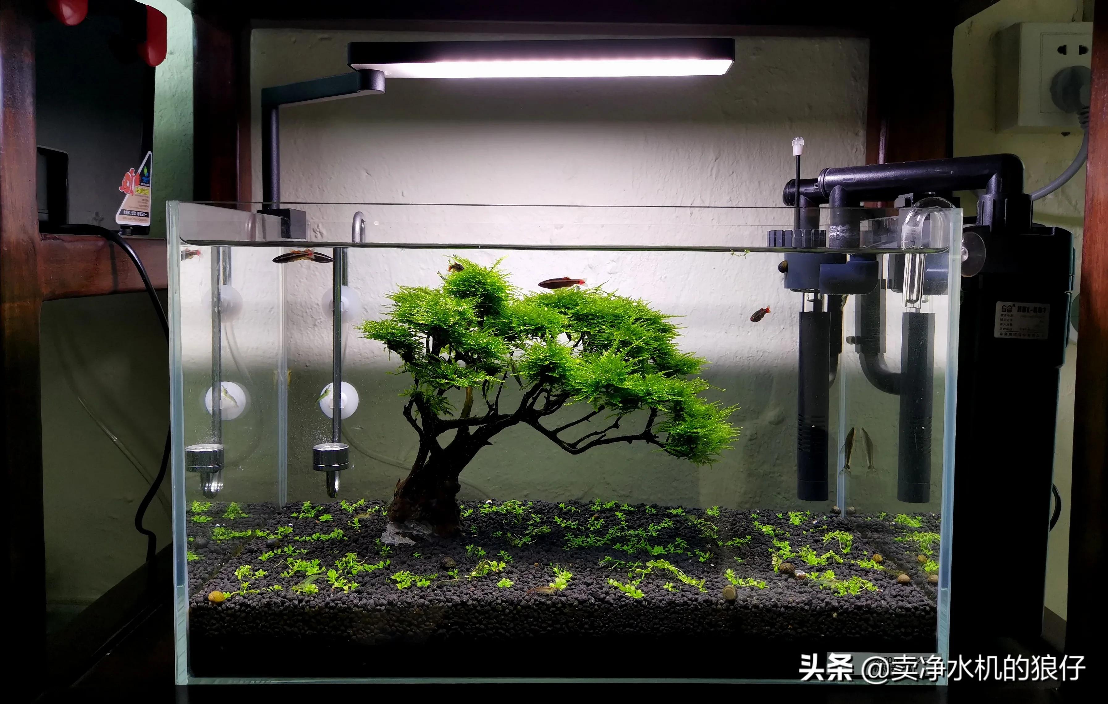 鱼缸过滤器失效,如何判断干燥过滤器失效