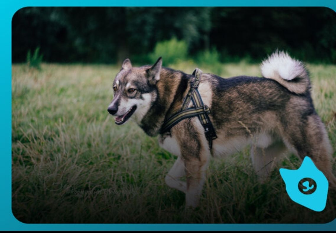 俄罗斯最著名的十大雕塑是,俄罗斯最著名的十大建筑物