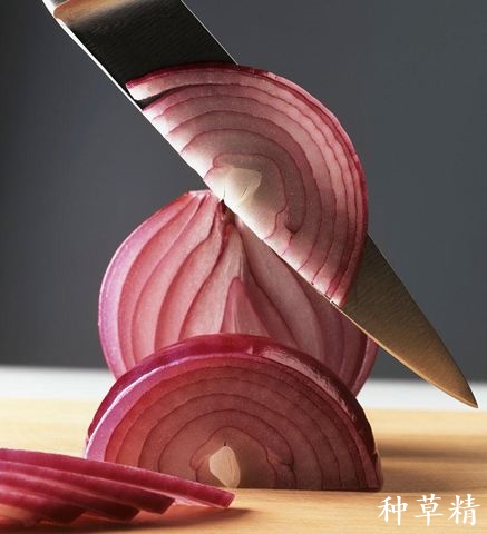 生活小妙招菜刀生锈怎么办,防止家用菜刀生锈的方法