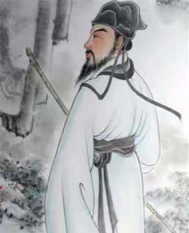 苏轼一生是个怎样的人,苏轼的100种技能