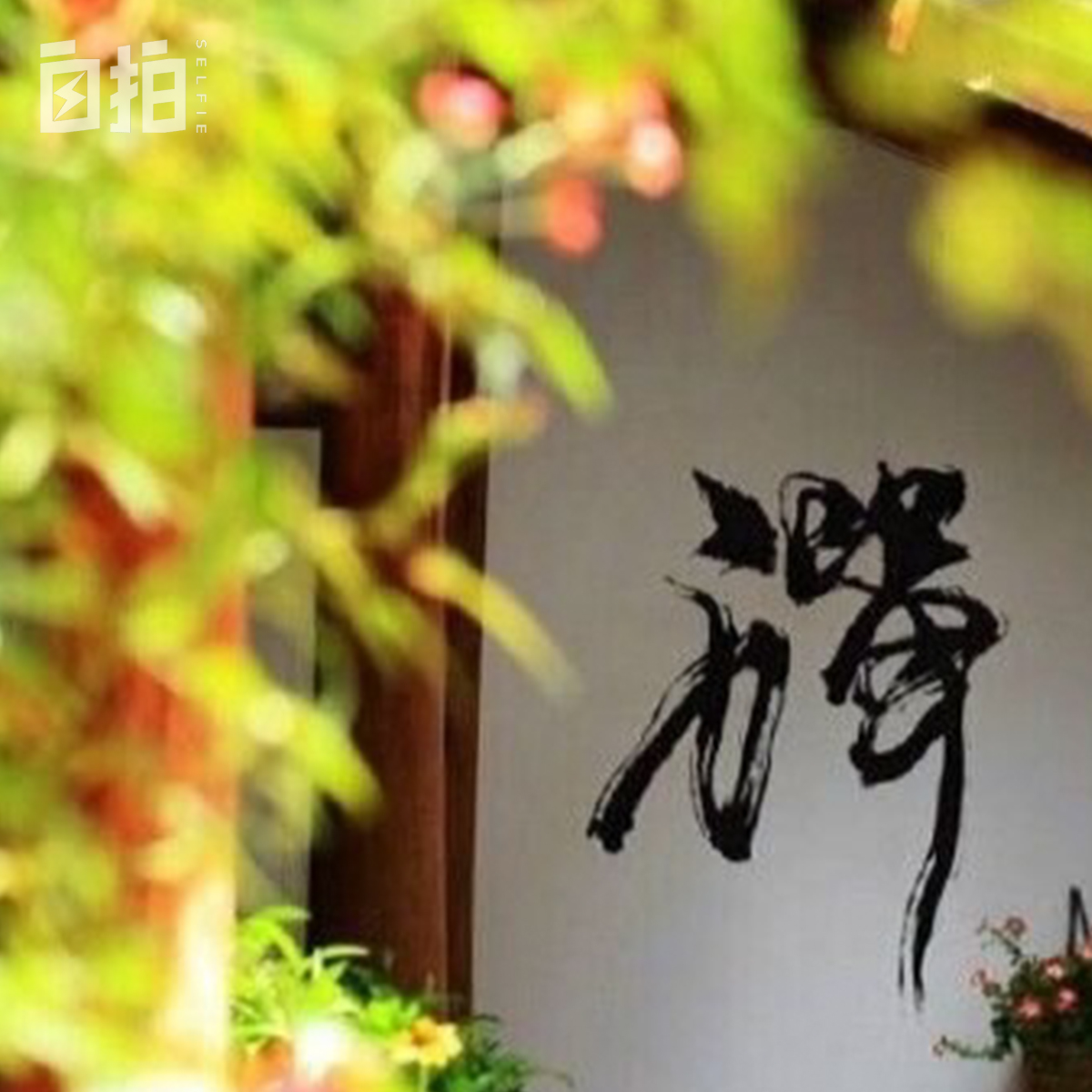 我,部队大院长大,17岁成省队运动员,参加过奥运会,做过主持人