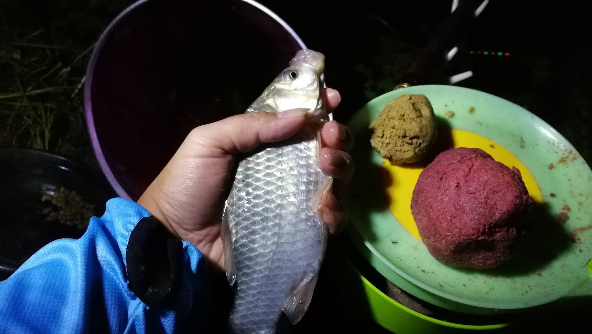 钓鱼必备的10个秘诀,钓鱼的十大基本绝招