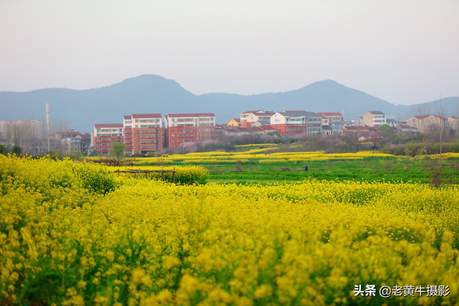 湖北京山摄影,京山摄影作品