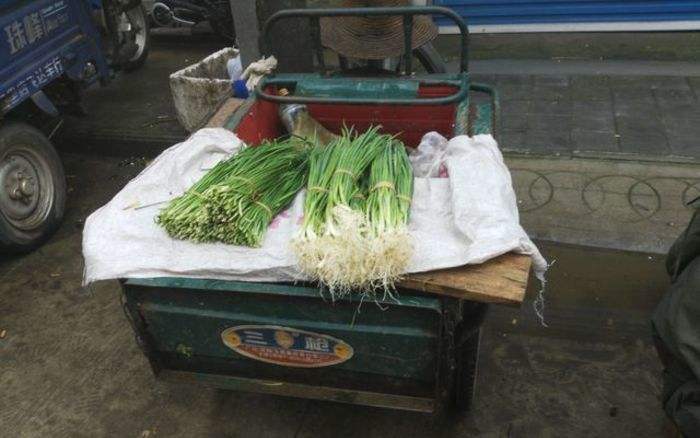 人到中年都是余欢水吗,余欢水人到中年的生活