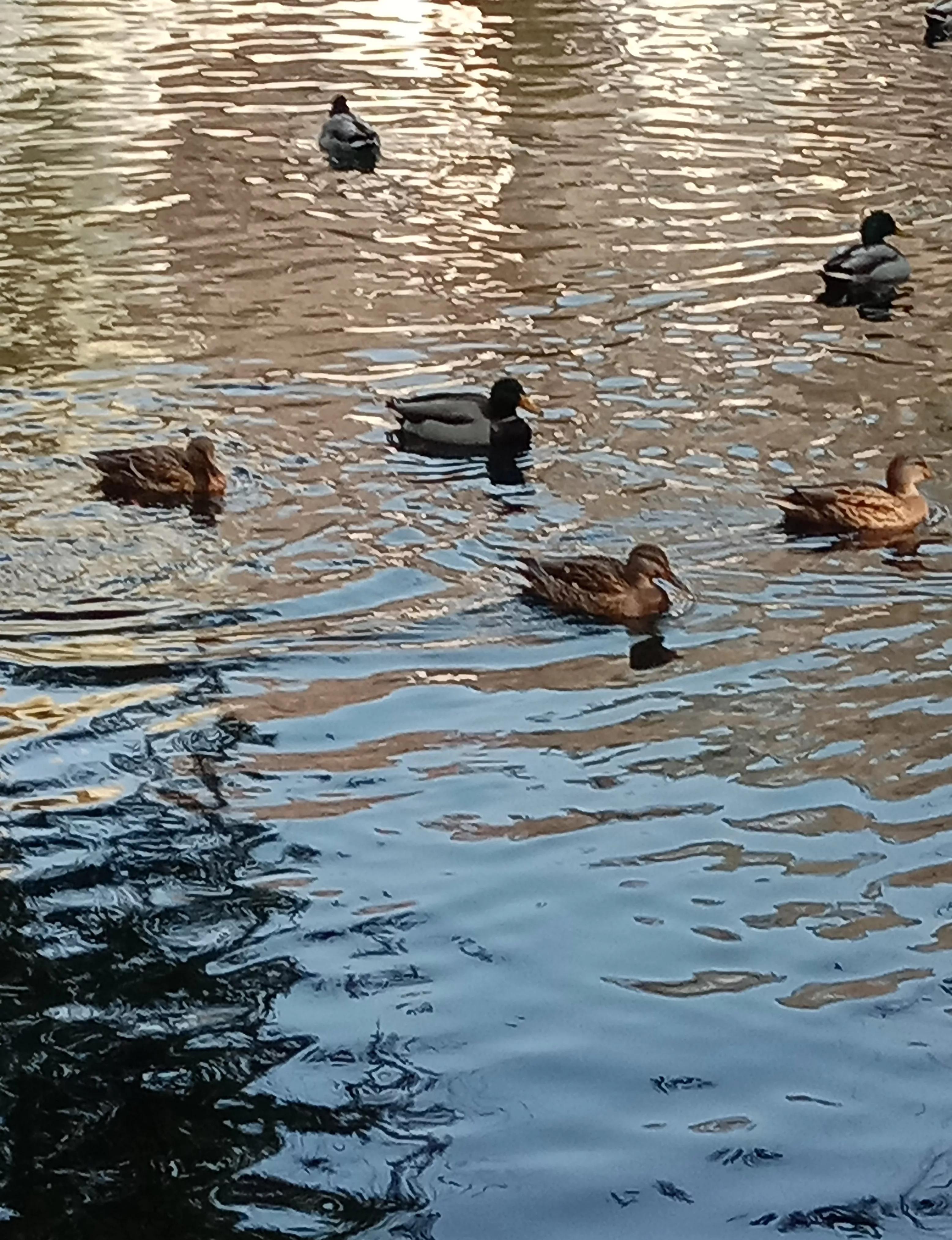 水磨沟公园简介,水磨沟公园作文