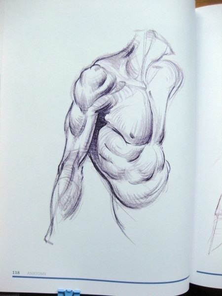 透视表现空间的基本方法,透视解剖学原理书籍