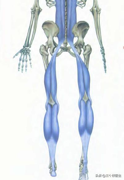 足底筋膜炎痛的说说,关于足底疼痛