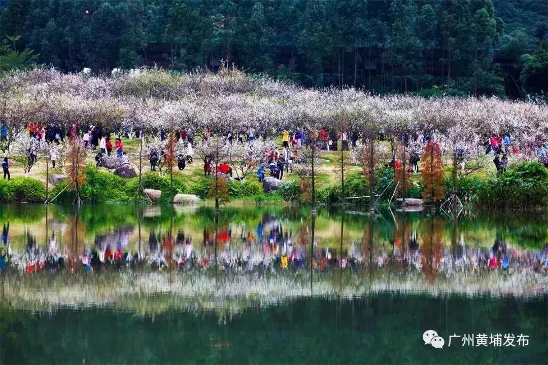 广州11个区详解,广州12个区