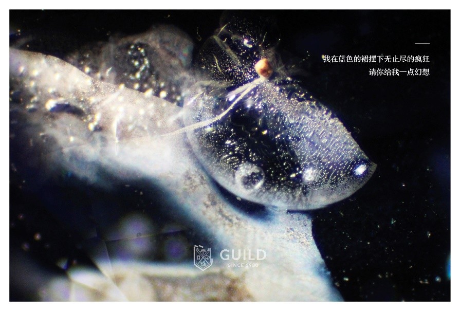 世界上最奇异的地方,神奇的大自然天然宝石