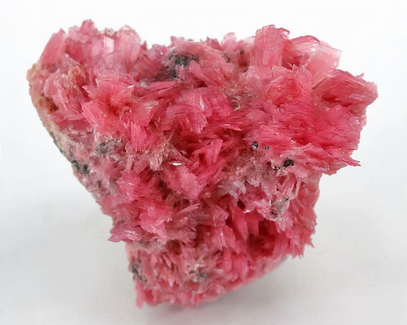 像午餐肉的宝石你没见过，却被梵克雅宝选中，粉嘟嘟的样子真讨喜