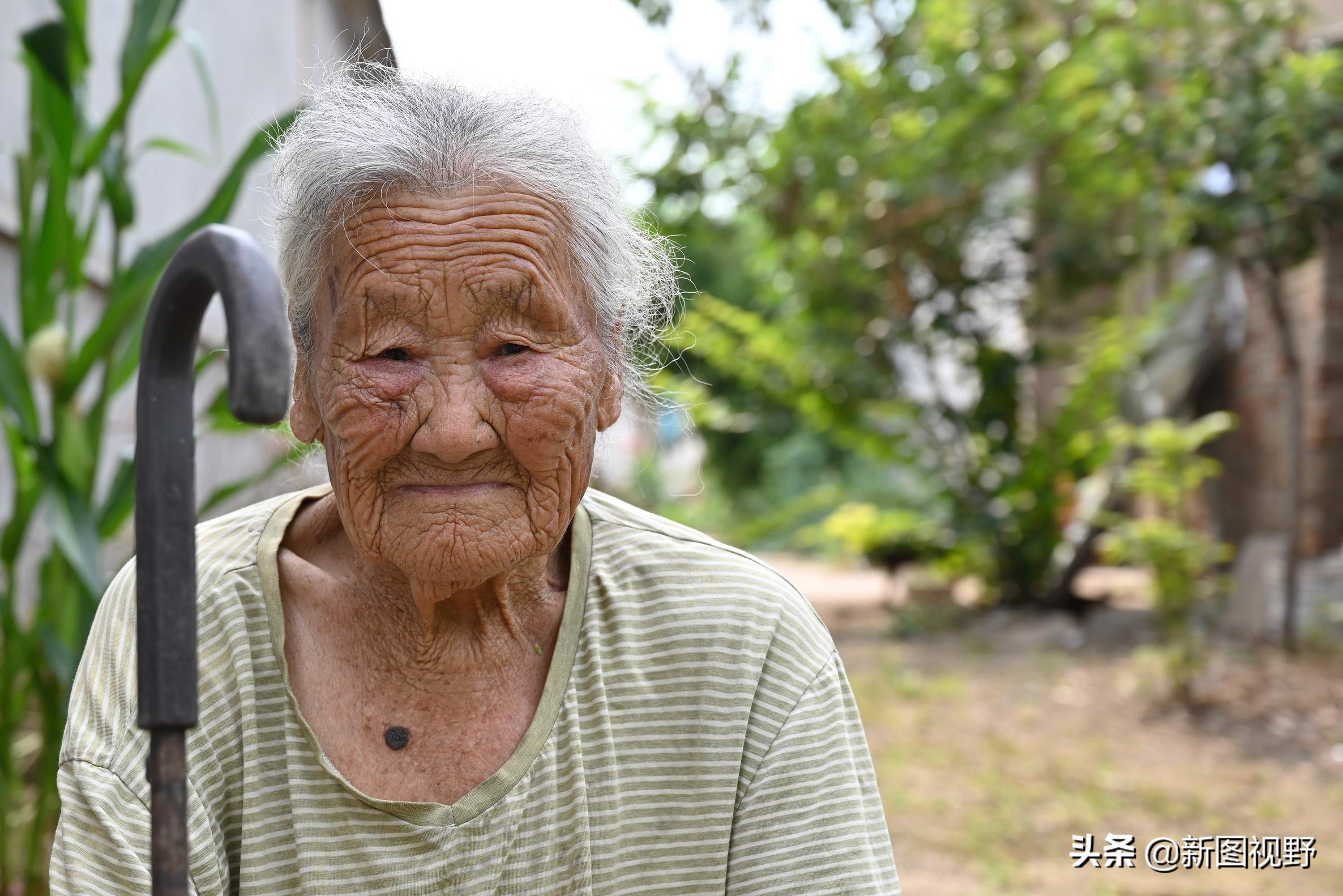 77岁儿子谈长寿经验,100岁母亲插话说出生活秘诀,极具人生智慧