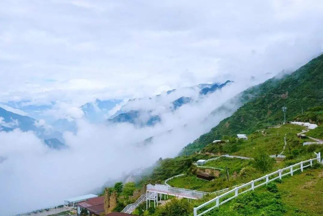 它们冷门，可却是如此幽静美丽