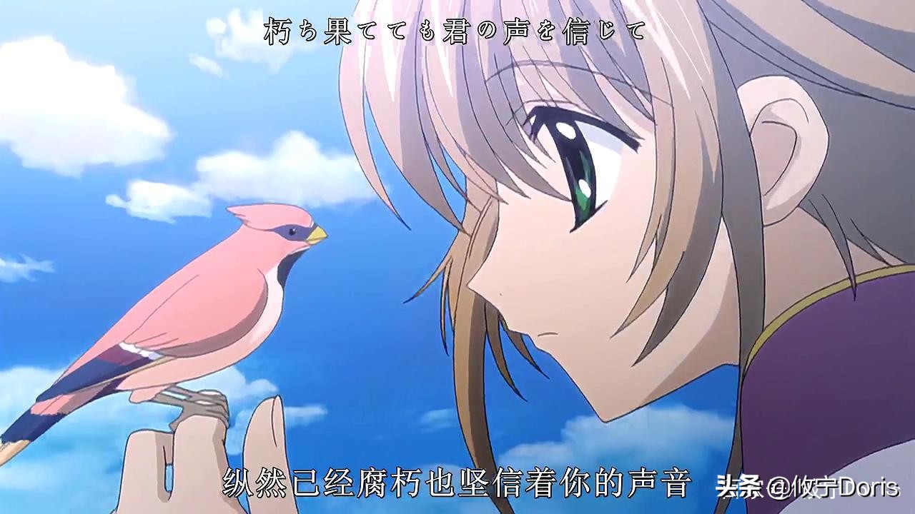 日漫中的王子公主,日漫中的骑士守护公主