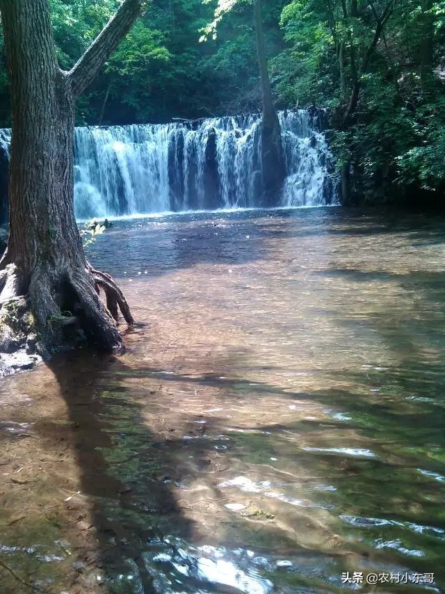全国一村一品示范村镇第九批,全国一村一品示范村镇名单公布