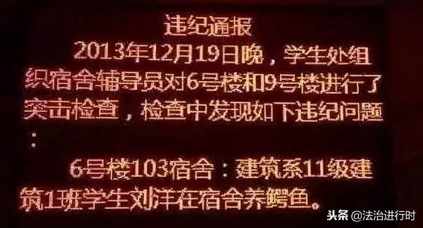 大学生宿舍养猪,当代大学生宿舍养猪的行为